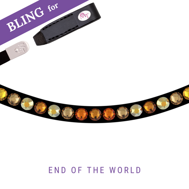End of the World Browband Bling Swing