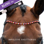 Impulsive Sagittarius Browband Bling Swing