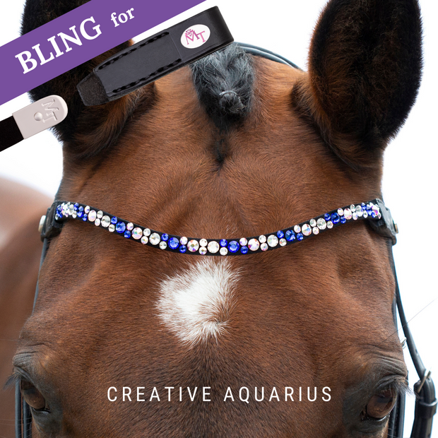 Creative Aquarius Browband Bling Swing