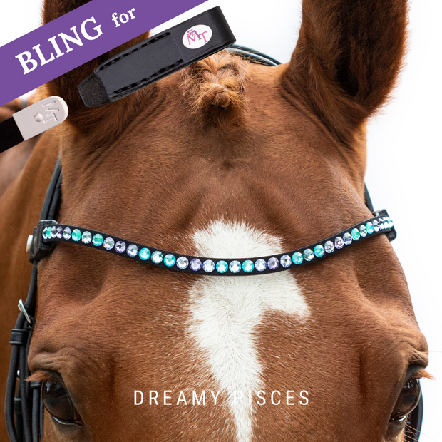 Dreamy Pisces Browband Bling Swing