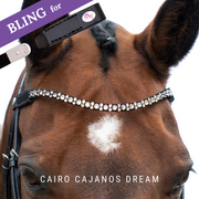 Cairo Cajanos Dream by Dimi Mimi Bling Swing
