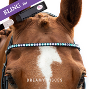 Dreamy Pisces Browband Bling Classic