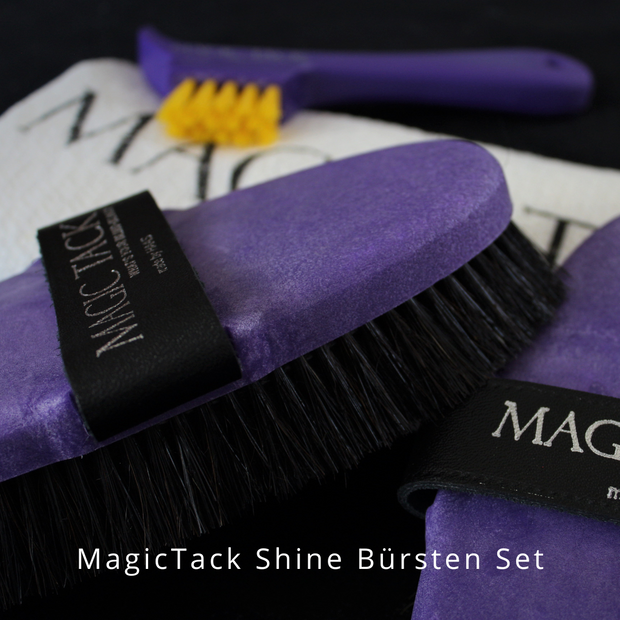 MagicTack Shine Brush Set by Haas