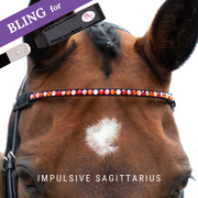 Impulsive Sagittarius Browband Bling Classic