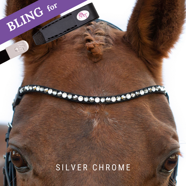 Silver Chrome Bling Swing