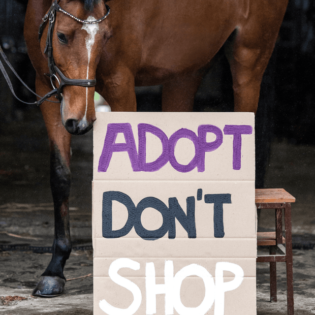 Adopt don`t Shop Patch brown