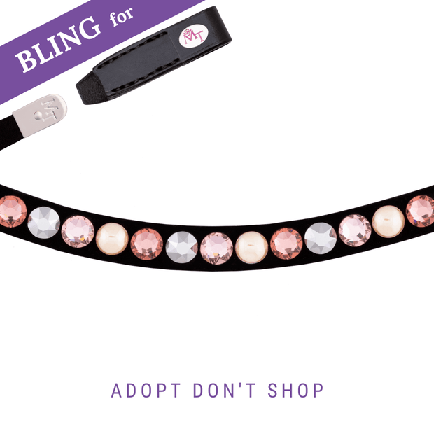 Adopt don`t shop bling swing