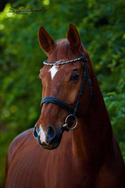 Browband-Classic