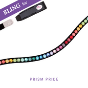 Prism Pride Bling Swing