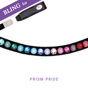 Prism Pride Bling Swing