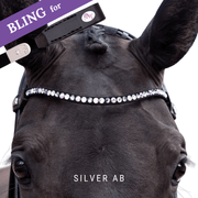 Silver AB Bling Swing